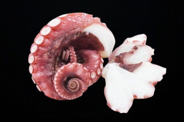 Tako (Octopus) Leg 100g. - CHINA