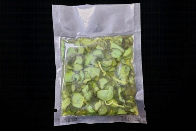 Ao Kappa 100g.