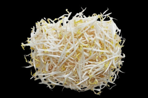 Bean Sprout (Fresh)250g