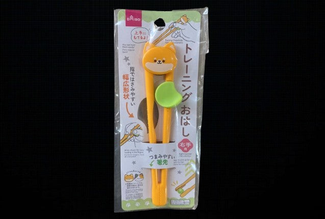 Training (Learner) Chopstick