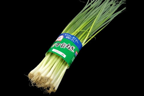 万能ネギ(日本から取り寄せ)100g