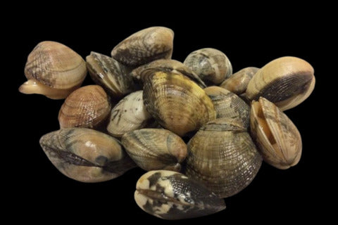 近海アサリ冷凍(砂出し済み)350g