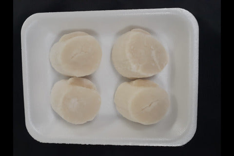Hotate (Scallop) 4pcs - JAPAN
