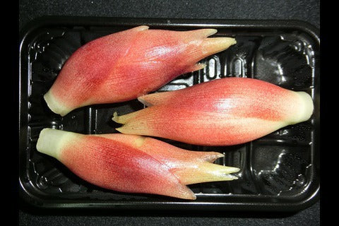 Myoga 50g. (PRE-ORDER)