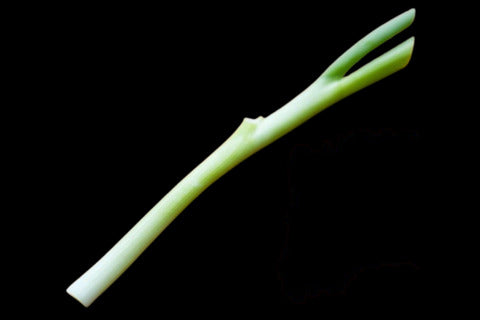 Negi (Fresh) Leek