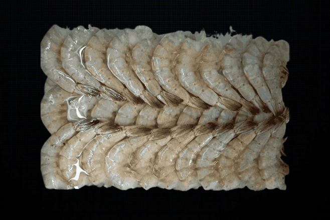 Shrimps size 21/25 (block frozen) 2.2kg