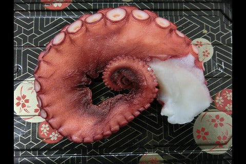 Tako (Octopus) Leg 100g. - JAPAN