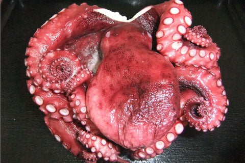 Tako (Octopus) Japan Frozen Whole 1kg
