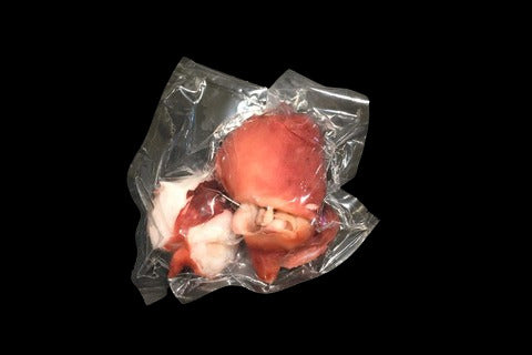 Tako Head 170g.